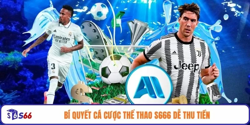 Bí quyết cá cược thể thao S666 dễ thu tiền